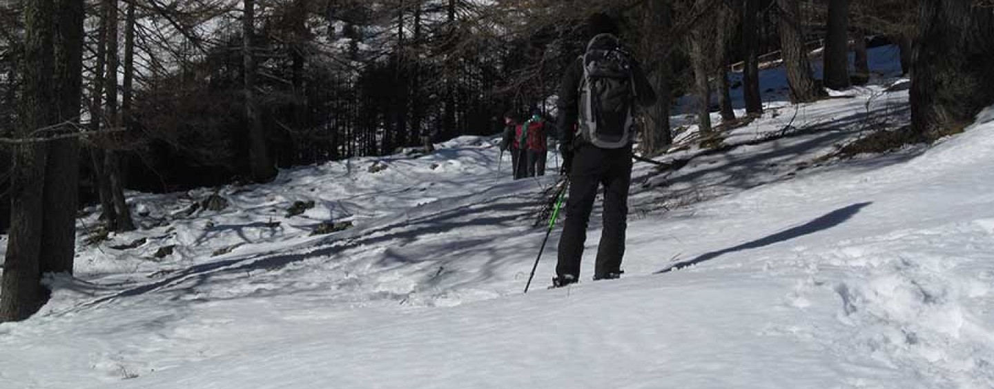 Recensione pantaloni invernali Alpinismo / neve Simond