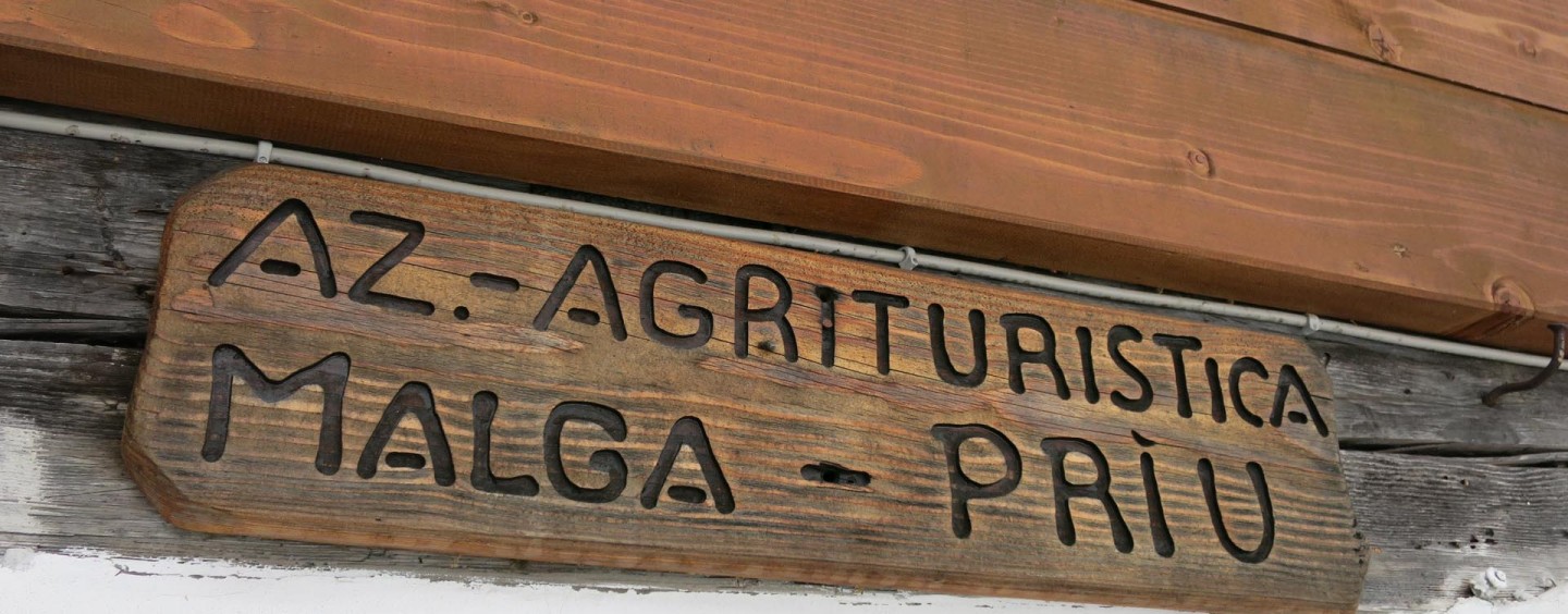 Ugovizza: Malga Priu e Casera Mezesnik (Ciaspolata)