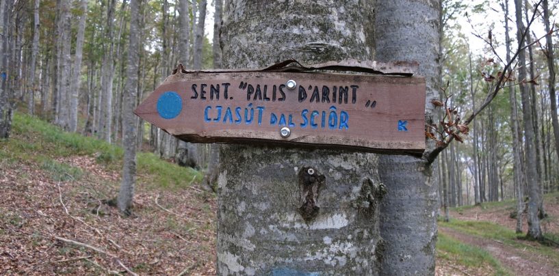 Al Cjasut dal Sior per le Pale d’Arint