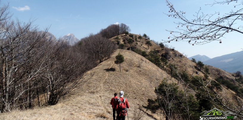 Monte Lupo